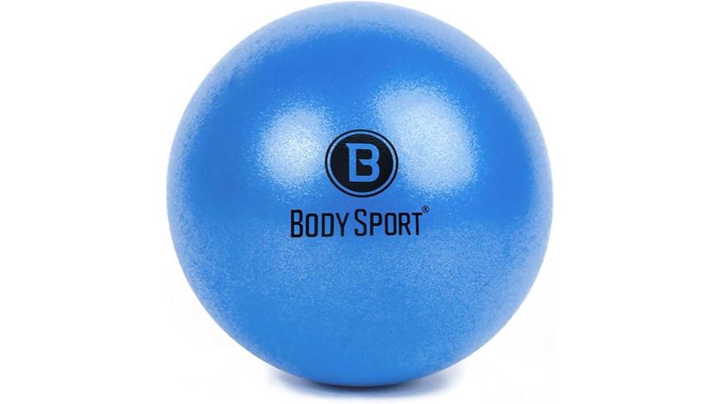 5 Best Stability Balls For Core Training 3 Core Fitness Exercise Ball