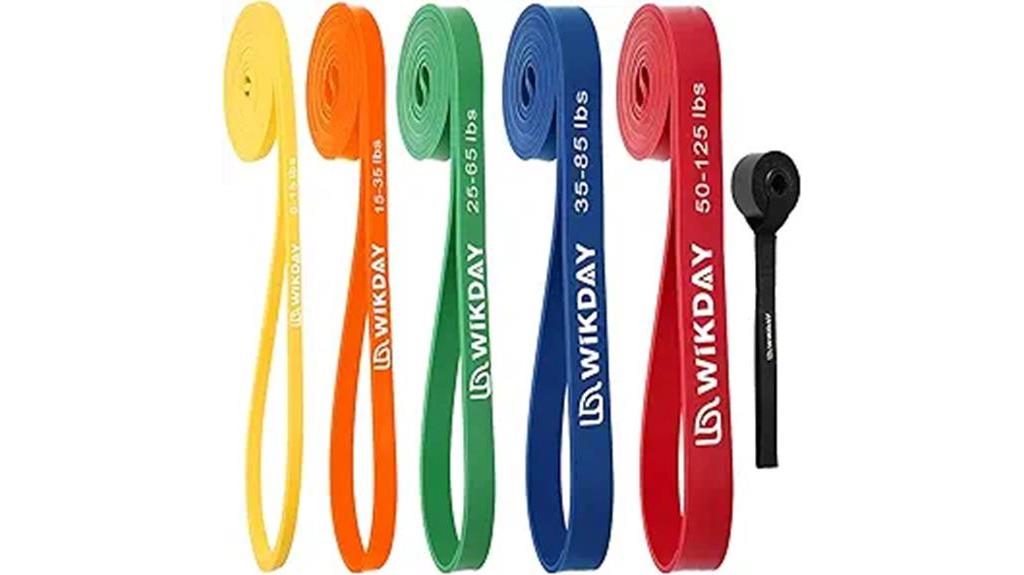 5 Best Resistance Bands For Home Workouts, According To Fitness Pros 1 Exercise Resistance Bands Set